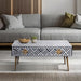 Sienna Sleek Two Drawer Bone Inlay Coffee Table