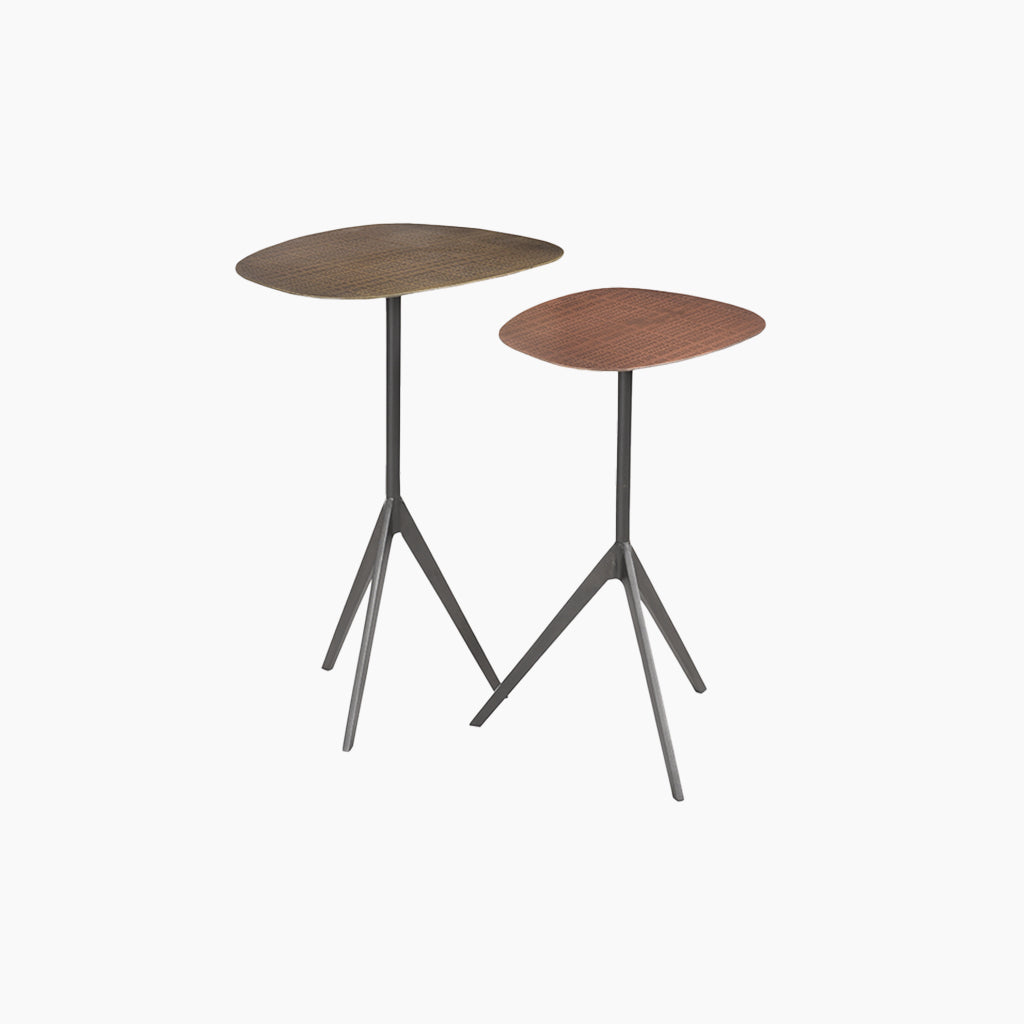 Reed Set of 2 Iron End Table